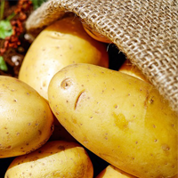 Fast Facts On Potatoes